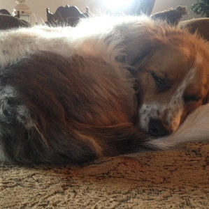 Meet your Posher, Johnnie